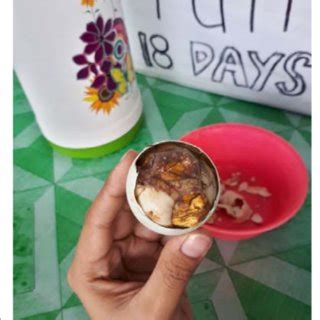 balot or balut|The authentic balut: history, culture, and economy of a Philippine .